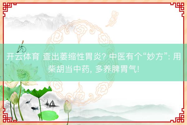 开云体育 查出萎缩性胃炎? 中医有个“妙方”: 用柴胡当中药， 多养脾胃气!