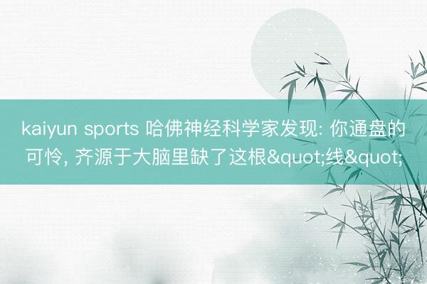kaiyun sports 哈佛神经科学家发现: 你通盘的可怜, 齐源于大脑里缺了这根"线"