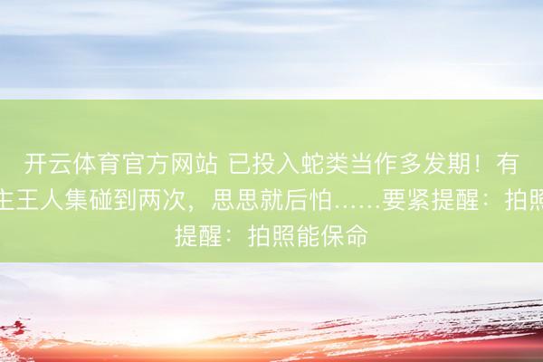 开云体育官方网站 已投入蛇类当作多发期！有东说念主王人集碰到两次，思思就后怕……要紧提醒：拍照能保命